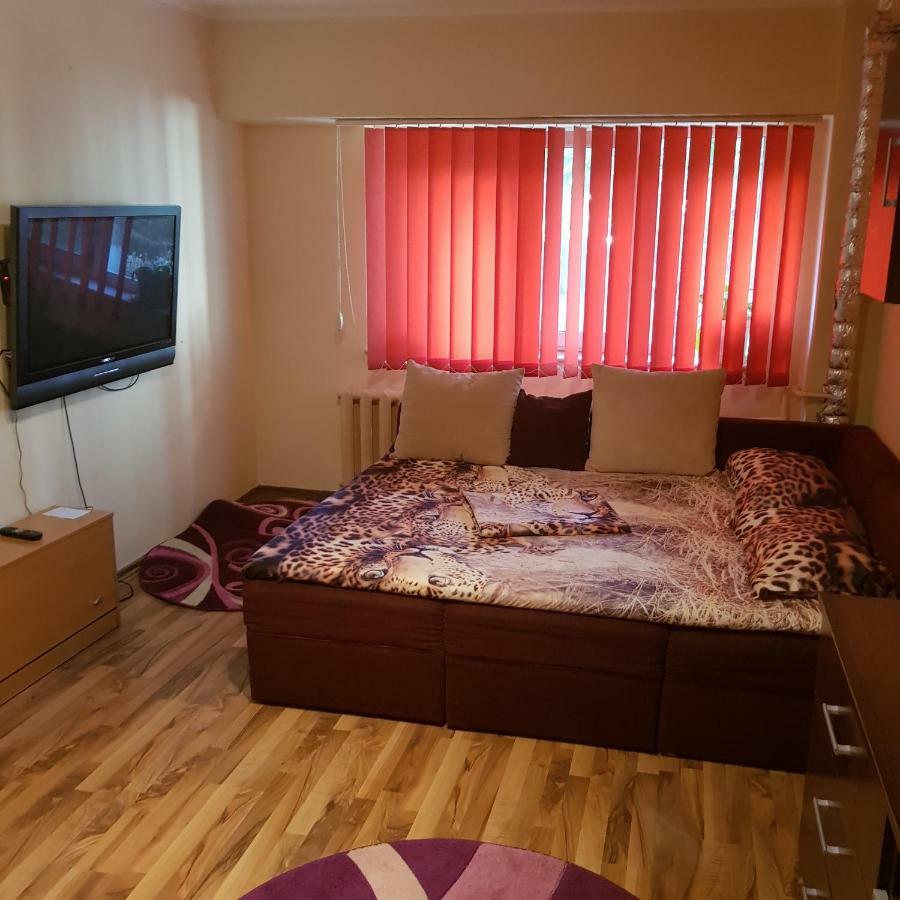 Garsoniera Delia Apartment Констанца Екстериор снимка